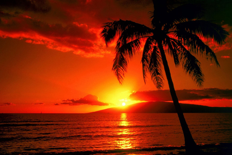 Hawaii sunset